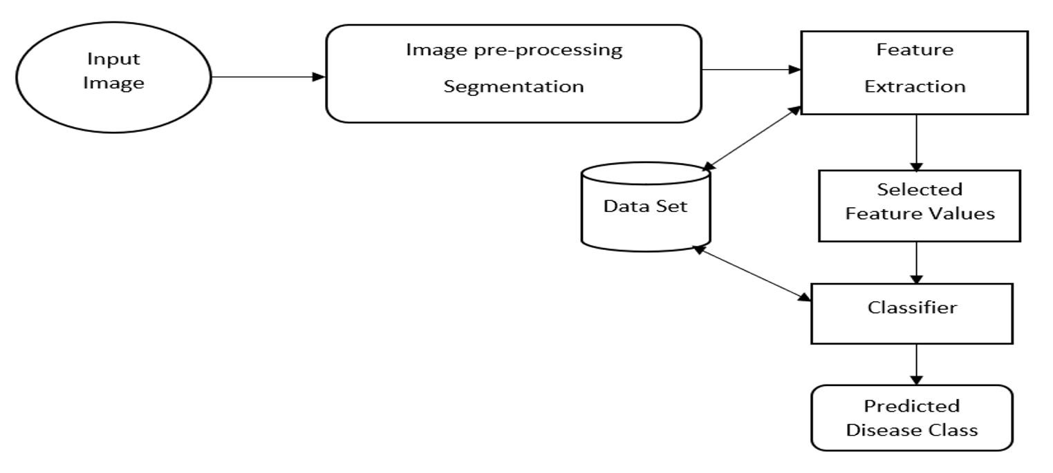 image: e_2b269c02354f_fig1.png